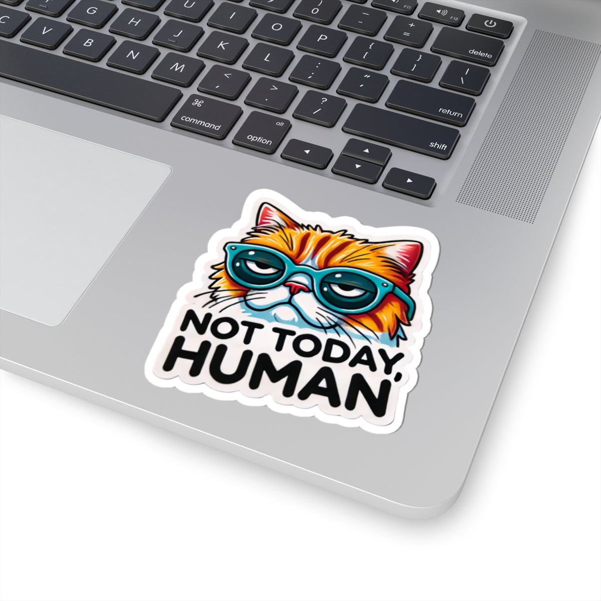 Sassy Cat Kiss-Cut Stickers, Fun Laptop Decor, Pet Lover Gift, Whimsical Office Accent, Humorous Car Sticker, Not Today Human